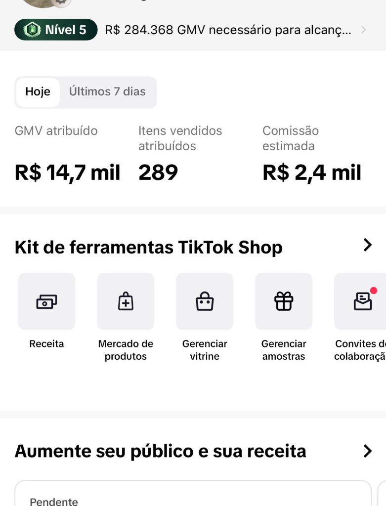 Resultado R$ 14.700 em vendas TikTok Shop